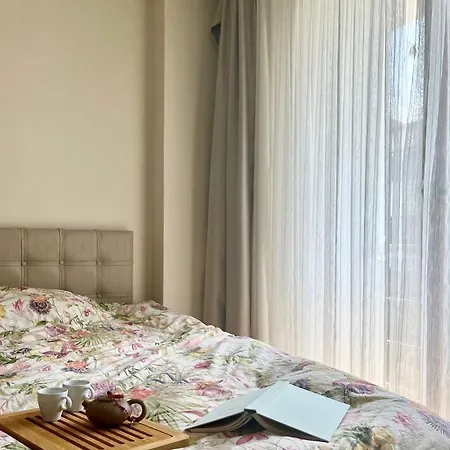 Yalova Haliç Yalova (Yalova)